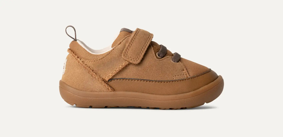 buty sportowe adventurer