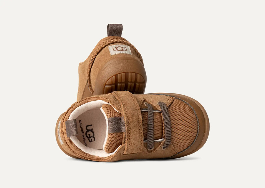 buty sportowe adventurer