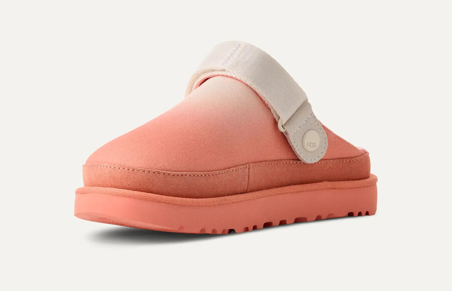 goldenstar clog sunray
