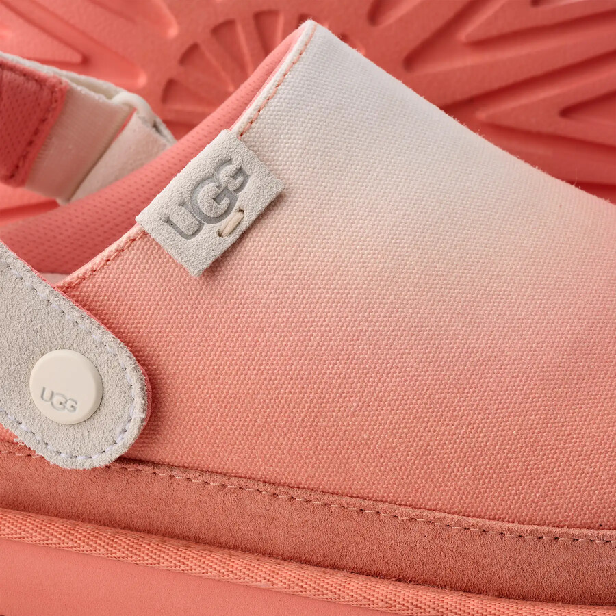 goldenstar clog sunray